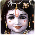 3d krishna live wallpaper android application logo